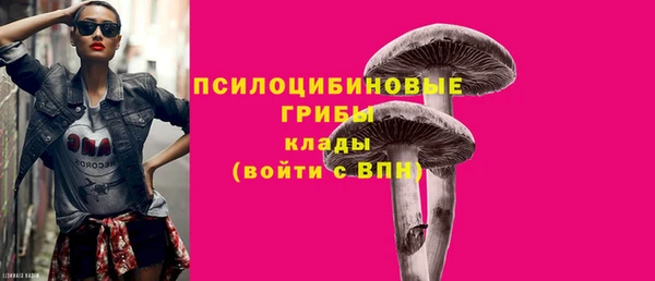 индика Магадан