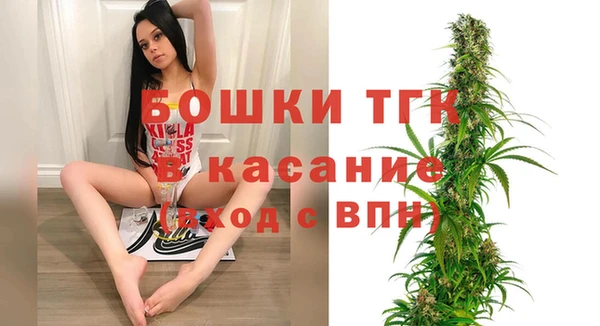 ECSTASY Майский