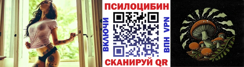 Купить где  Гусь-Хрустальный  Псилоцибиновые грибы прущие грибы 